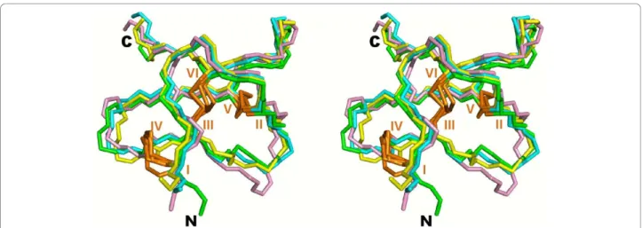 Figure 8 Stereoview of experimental and model structures of hainantoxin-4. Green, the NMR structure (PDB ID: 1niy); cyan, the model with the lowest RMSD; yellow, the model with the lowest SC3 score; violet, the model with the lowest SC3 score obtained from