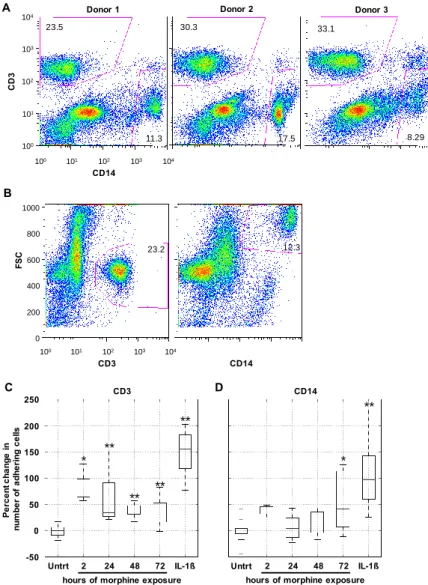 Figure 4. Prolonged morphine exposure increased peripheral blood mononuclear cell (PBMC) firm  adhesion