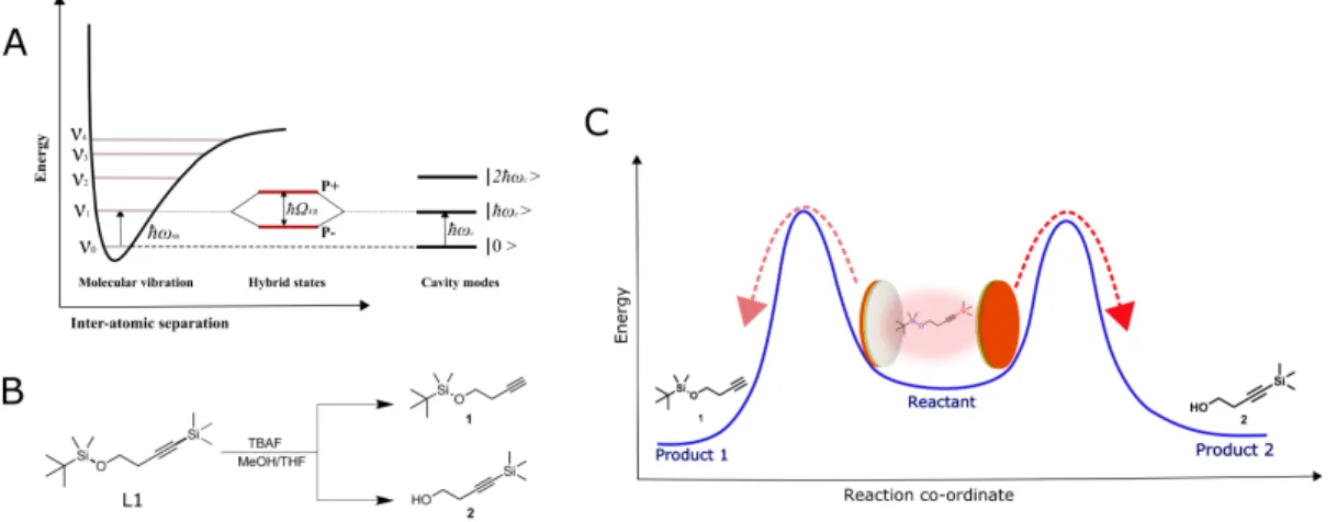 Fig. 1. (A) Schematic illustration of the light-matter strong coupling of a vibrational transition in  resonance  with  Fabry-Pérot  cavity  mode  and  the  subsequent  formation  of  hybrid  polaritonic 
