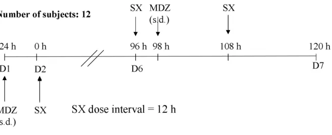 Fig.  1.   Study  design  of  the  drug-drug  interaction  clinical  trial.  MDZ  stands  for  Midazolam, SX for a phase I compound, s.d