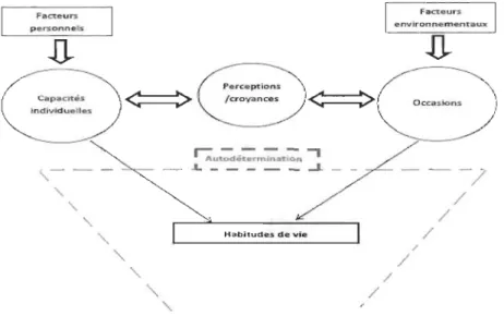 Figure  4.  Création  d'une  modélisation  intégratrice  du  modèle  fonctionnel  de  l' autodétermination  (Lachapelle  et  Wehmeyer,  2003)  et  du  modèle  du  processus  de  production du Handicap (Fougeyrollas  et al