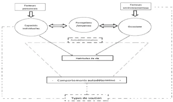 Fig ure  5.  Modélisation  intégratrice  du  modèle  fonctionnel  de  l' autodétermination  (Lachapelle  et Wehmeyer, 2003)  et du modèle  du processus de  production du Handicap  (Fougeyrollas  et al