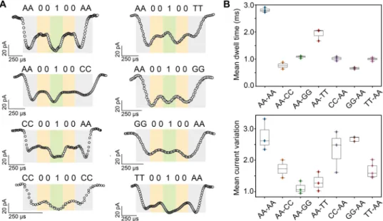 Fig. 2. Effects of terminal nucleobases on polymer reading. (A) Representative translocation events of the digital macromolecular analyte with different types of  nucleotides at the chain termini