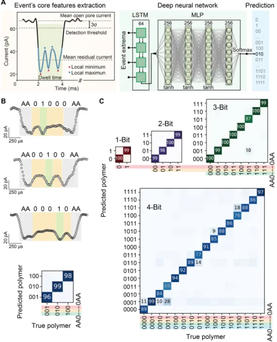Fig. 3. Decoding polymer sequences using aerolysin pores and deep learning. (A) Details for nanopore signal processing and relative deep learning workflow