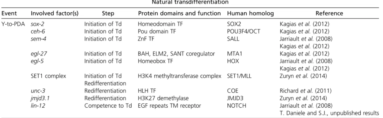 Table 1 Necessary factors for natural transdifferentiation in C. elegans