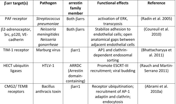 Table   II:   β arr-­‐dependent   pathways   hijacked   by   microbes   and   toxins    βarr   target(s)    Pathogen    arrestin   