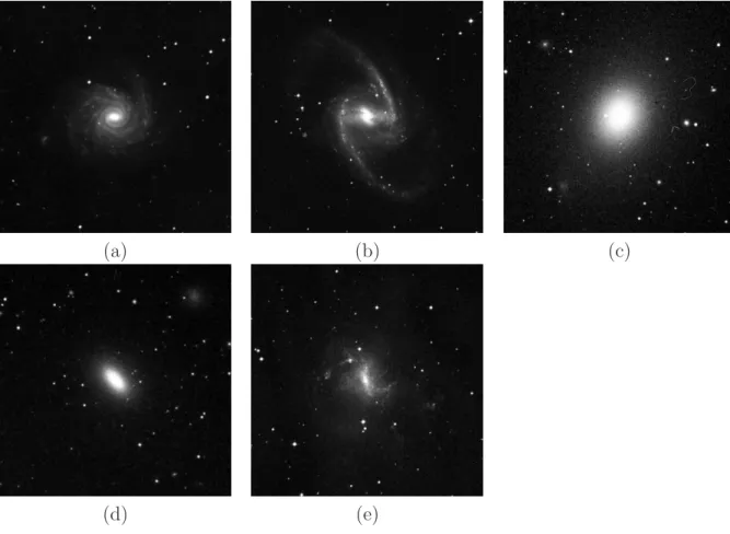 Fig. 1.5 – Diff´erents types de galaxies dans le domaine du visible. (a) : galaxie spirale NGC1232