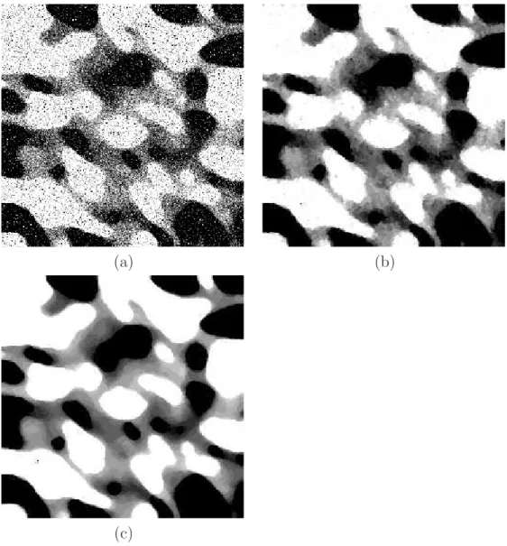 Fig. 2.11 – (a) : carte de segmentation au sens du maximum de vraisemblance. (b) : carte de segmentation `a l’issue de la premi`ere it´eration de l’ICM