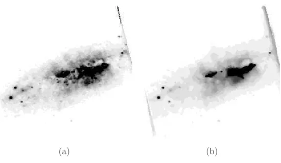 Fig. 2.13 – (a) : segmentation au sens du maximum de vraisemblance. (b) : carte de segmentation finale - ICM semi-supervis´e multibande - 10 it´erations - 16 Classes floues.