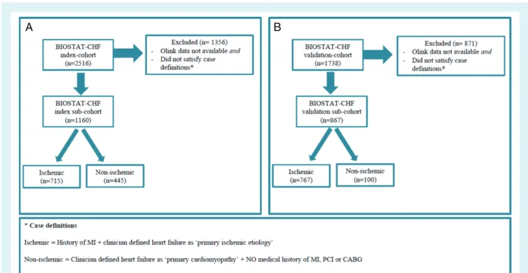 Figure 1 Consort diagram. Selection of ischaemic and non-ischaemic heart failure patients from BIOSTAT-CHF index (A) and validation (B) cohorts