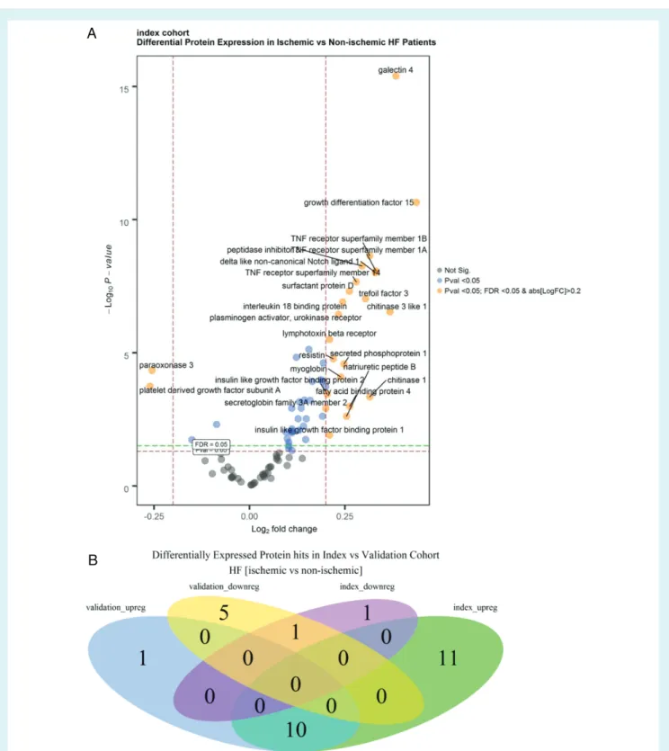 Figure 2 Differential protein expression in ischaemic relative to non-ischaemic heart failure (HF) patients