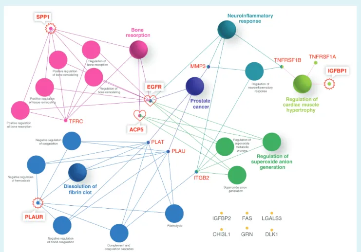 Figure 3 Pathophysiological pathways related to ischaemic heart failure. Proteins (small nodes) linking the pathways (large nodes) are depicted.