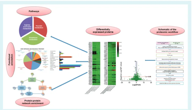 Figure 4 Schematic plasma proteomic approach to understand the pathogenesis and its link with clinical outcomes in patients with heart failure.