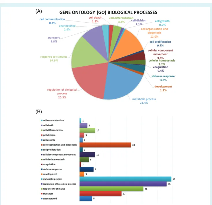 Figure 2 Gene ontology (GO) enrichment analysis of significant differentially expressed proteins in patients with heart failure with poor outcomes