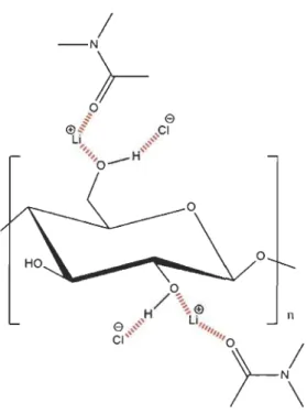 Figure 25 Solubilisation de la  cellulose dans le système LiCl/DMAc 