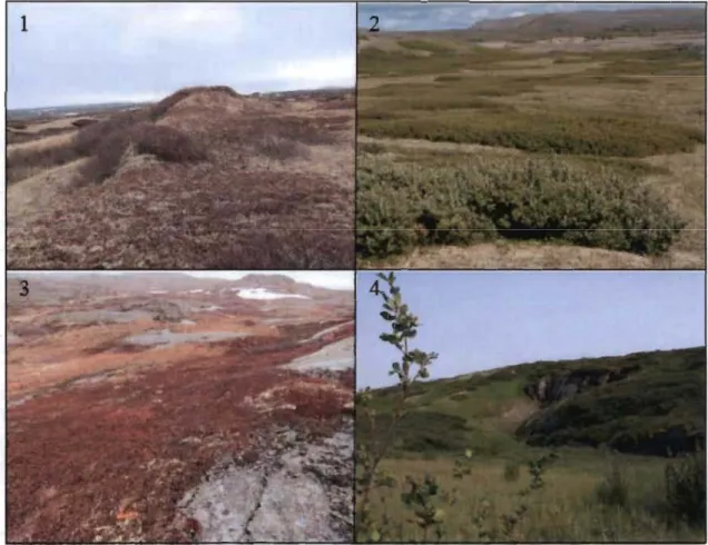 Figure 1.2  Exemple de  la diversité du  paysage dans  la zone d'étude  près  d' Umiujaq, Nunavik