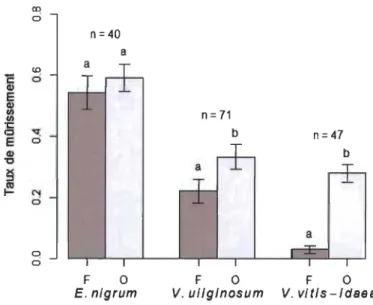 Figure 6  Moyennes et erreurs types du  taux de  mûrissement d'Empe frum  nigrum,  Vaccinium  uliginosum et Vaccinium  vitis-idaea dans  les  milieux fermés  (F  : positions  1 et 2) et  ouverts  (0 : positions  3  et 4)