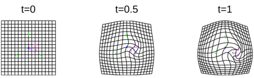 Fig. 2.5. Example of a large deformation. Geometrical descriptors are in blue (triangle for scaling, circle for rotation)