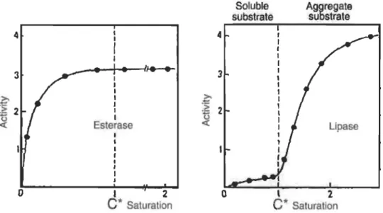 Figure 1.7  Cinétique des enzymes lipolytiques. 