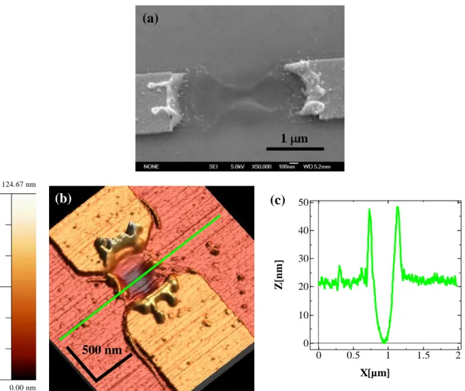 Figure  II-21 :  Destruction  des  échantillons  par  décharges  électrostatiques  de  nanofils  d’or  (a) Images en microscopie électronique à balayage et (b) en microscopie à force atomique de  deux  nanofils  détruits  par  décharges  électrostatiques