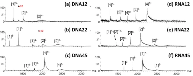 Figure  1:  Electrospray  mass  spectra  of  annealed  (a)  DNA12,  (b)  DNA22,  (c)  DNA45,  (d)  RNA12, (e) RNA22, and (f) RNA45