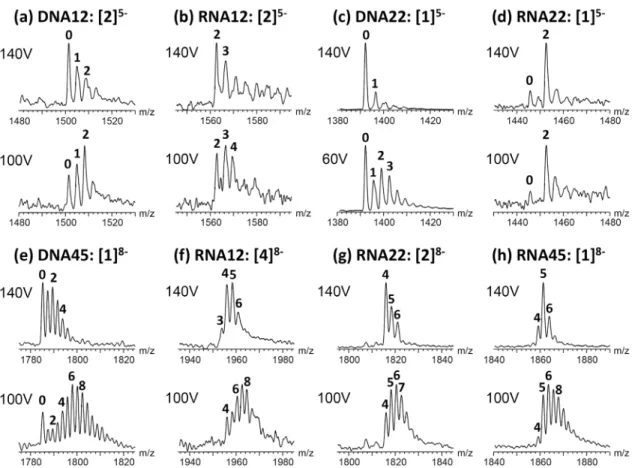 Figure 2: Distribution of the number of ammonium ions preserved in the structure of (a) dimeric  DNA12,  (b)  dimeric  RNA12,  (c)  intramolecular  DNA22,  (d)  intramolecular  RNA22,  (e)  intramolecular  DNA45,  (f)  tetrameric  RNA12,  and  (g)  dimeric