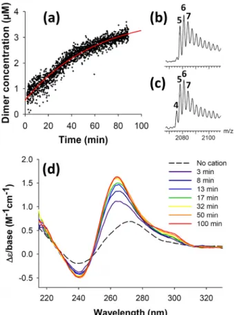 Figure  5:  Kinetics  of  RNA22  folding  and  dimerisation.  (a)  Time  evolution  of  the  dimer  concentration followed by ESI-MS (140 V on the RF lens 1, total strand concentration = 10 µM,  no methanol)