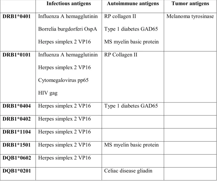 Table 1. Human MHC Class II tetramers and relevant antigens  