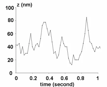 Figure 2 : Typical fluctuations of the distance between small microspheres and the chamber surface