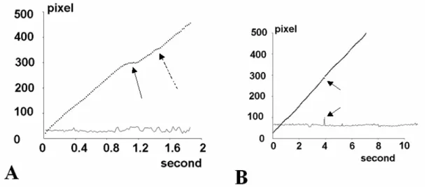 Figure 3 : Difficulty of delimiting binding events. Two representative displacement curves are shown