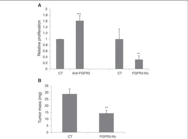 Figure S6B), suggesting that autocrine loops in parental cell lines are reinforced with FGFR3 forced expression.
