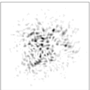Fig. 1.2 – Image tavel´ee d’une source non r´esolue. Simulation avec D/r 0 ≃ 20.