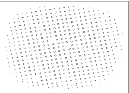 Fig. 2.4 – Image longue pose de la grille de calibration de la distorsion apr`es la correction.