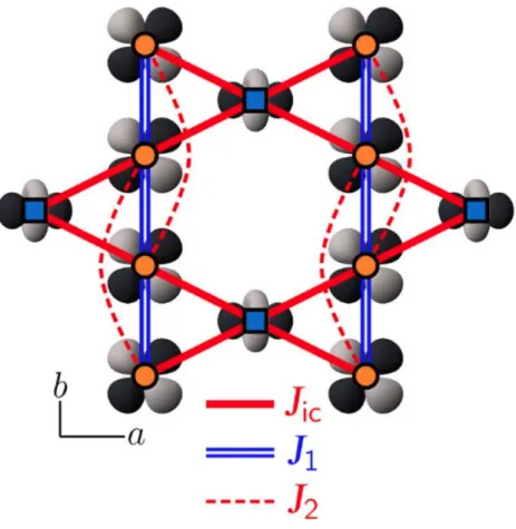 Figure I.5 – Réseau kagomé de spin 1 / 2 “distordu” de la volborthite. [figure tirée de la référence [46]]