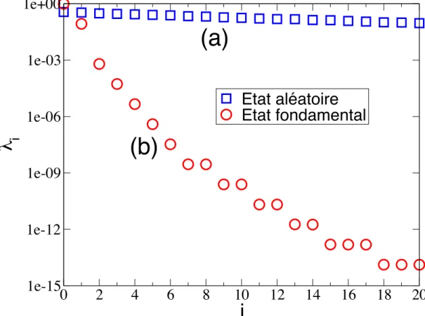 Figure II.16 – Coefficients de Schmidt λ i d’un état aléatoire (a) et de l’état fondamental du modèle d’Ising à champ transverse H = − P i σ i z σ z i+1 + g P i σ i x (g=1.5) (b), ce hamiltonien étant local et possédant un gap.