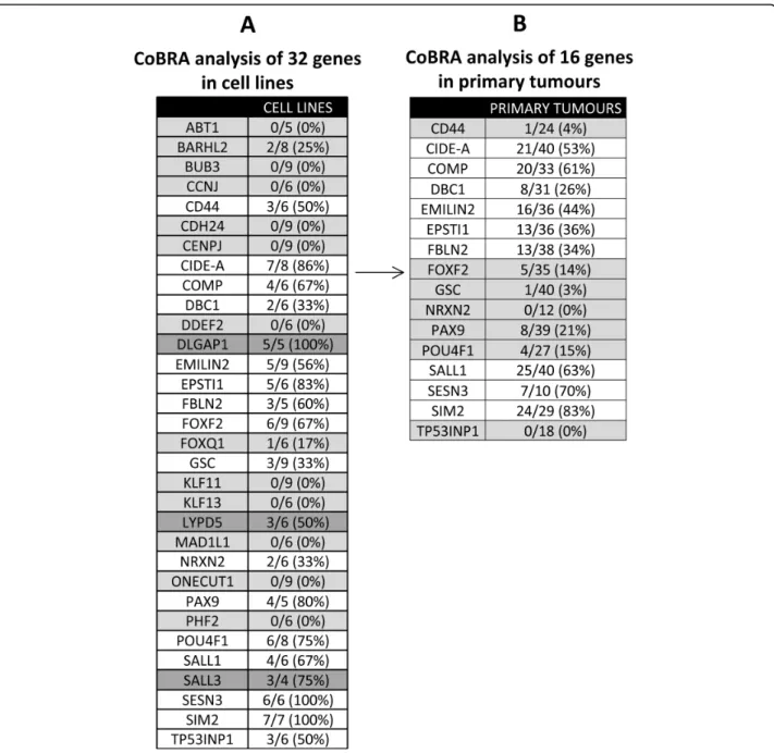 Figure 1 Stepwise analysis of 32 selected genes in breast cancer. (A) Cell line analysis confirmed frequent methylation (&gt;30% of samples) in cancer cell lines but not normal/control breast tissue in 16 genes (highlighted in white), which were selected f