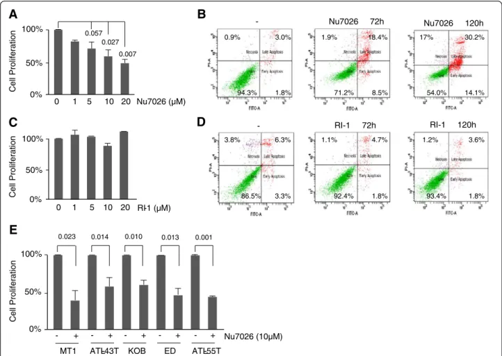 Figure 6 NU7026 inhibits growth and induces apoptosis in HTLV-I cell lines, but not RI-1