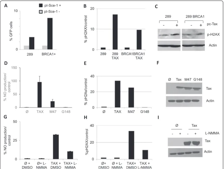 Figure 3 Tax expression induces DDSBs by stimulating intracellular NO. HR activity (A) is reduced in 289 cells when compared to BRCA1 cells