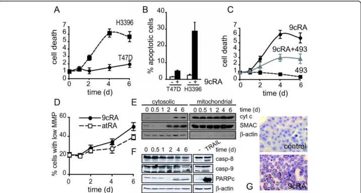 Figure 1 Retinoic acid promotes either differentiation or cell death of breast cancer cells in a cell-context dependent manner