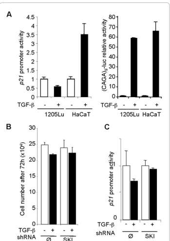 Figure 5 Stable SKI knockdown in 1205Lu melanoma cells does not restore the growth inhibitory activity of TGF-b