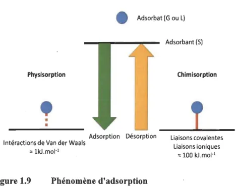 Figure 1.9  Phénomène d'adsorption 