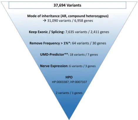 Figure 5. Use case#3. The identification of the disease-causing mutations from an artificial single VCF corresponding to a proband with an AR