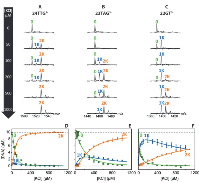 Figure 2. (A–C) Mass spectrometry titrations (20 ◦ C) of 10 ␮ M (A) 24TTG, (B) 23TAG and (C) 22GT, in 100 mM TMAA with increasing amounts of KCl (zooms on the 5- charge state, see Supplementary Figures S11-S20 for the full scale mass spectra)