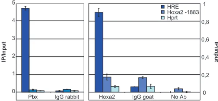 Figure 5. ChIP experiments with anti-Hoxa2 and anti-Pbx antibodies resulted in the retrieval of the HRE-containing sequence