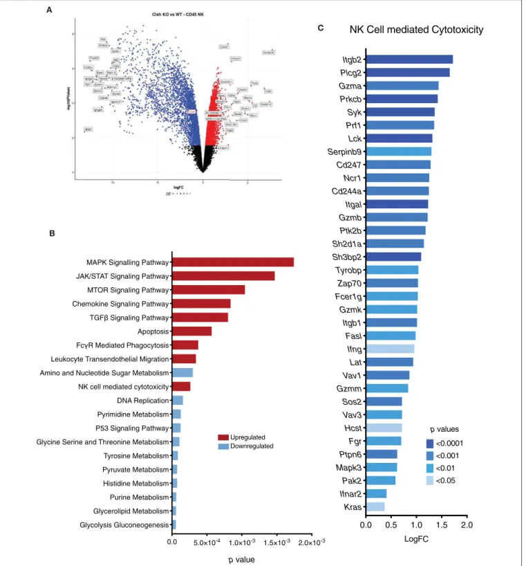 FIGURE 5 | CIS regulates global gene expression in NK cells. Gene expression profiles of sorted NK cells were generated using RNA-sequencing