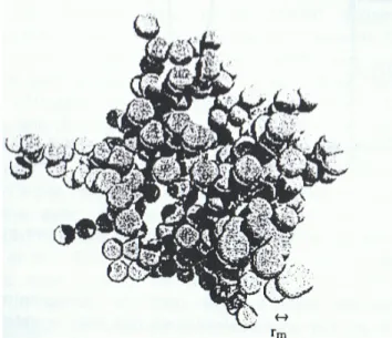 Figure 1.4: agrégat fractal considéré dans les simulations de Cabane et al.(1993) et  Rannou et al (1995)
