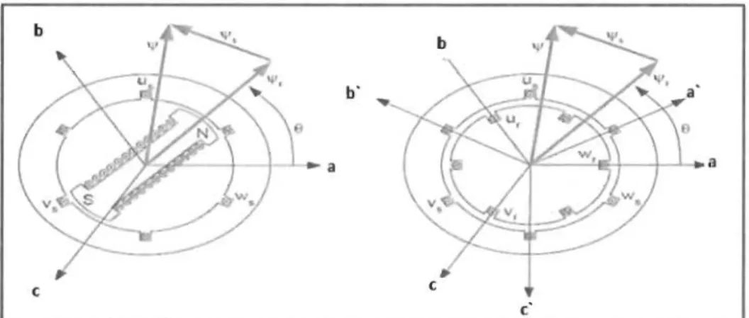 Figure 2.13  Configuration des enroulements et des flux  dans une Machine synchrone [11] 