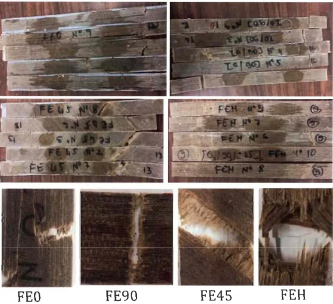 Figure IV. I O . Faciès de rupture des échantillon s FEO , FE90, FE45 et FEH après les essais de traction 