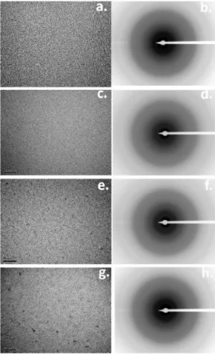 Figure 2.16: TEM and electronic diffraction pictures obtained without heat treatment (figures (a) and (b)) and after a heat treatment at 200˚C (figures (c) and (d)), at 500˚C (figures (e) and (f)), and at 700˚C (figures (g) and (h)) [Crauste et al., 2013].