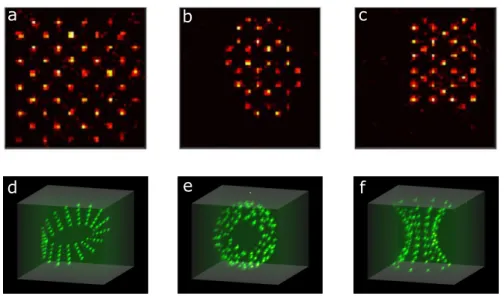 Figure 1.4: Examples of 2d and 3d arrays of trapped atoms - the upper row shows two-dimensional realization of atom arrays : (a) a square lattice, (b) a honeycomb lattice, (c) a kagom´ e lattice (pictures from [12])